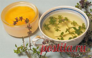 Чай из трав на каждый день | Наука и жизнь