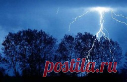 Интересные факты - 19 декабря — Интересные факты