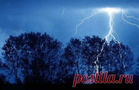 Интересные факты - 19 декабря — Интересные факты