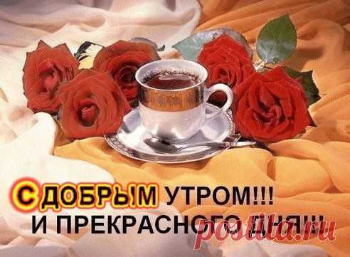 С ДОБРЫМ УТРОМ!!!!!!
