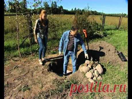 Посадка при грунтовых водах - уДачные советы