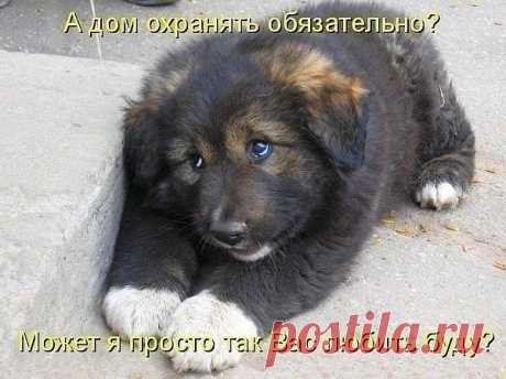 (76) Одноклассники