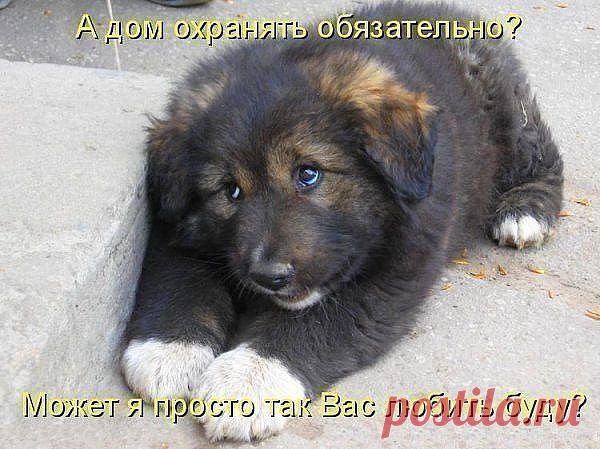 (76) Одноклассники