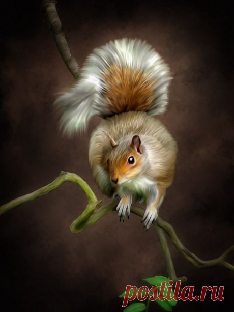 Just hanging around