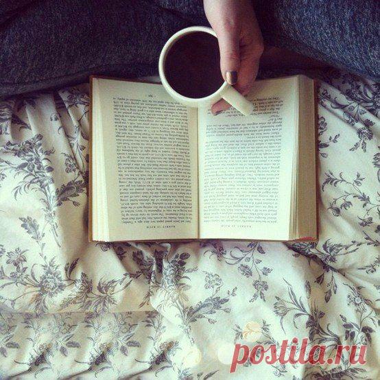 Мои закладки