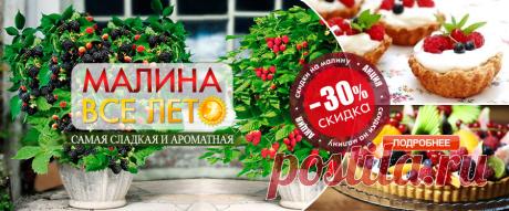 Семена, саженцы, луковицы, мицелий грибов, клубни картофеля почтой - интернет магазин Беккер