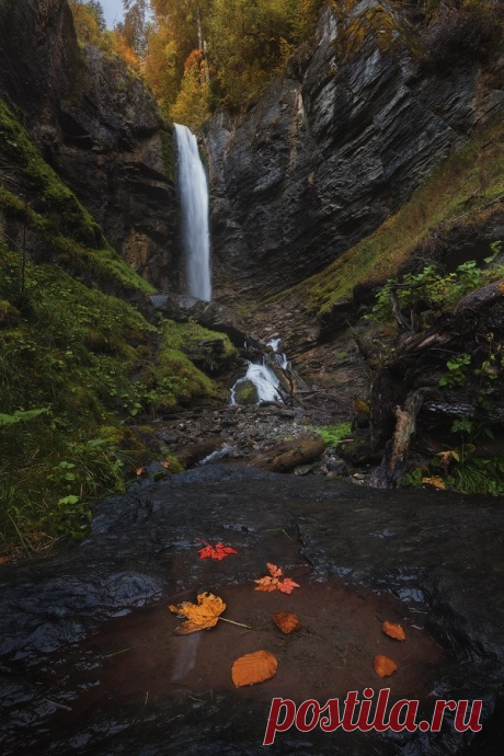 (600×900)