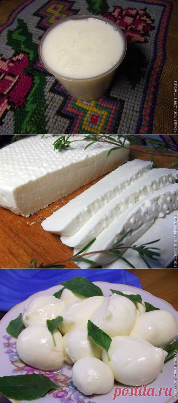 Домашние сыры / Болталка / Кулинария