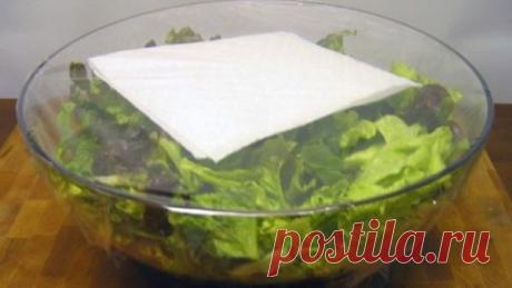 положите бумажное полотенце со своим салатом и... / Разное / полезные советы / Pinme.ru / Елена Филиппова