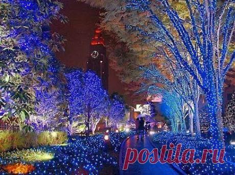 Так украшают улочки в Японии перед Рождеством.