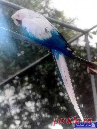 страницы которые создавались константина валерьевича сосницкого краснодар: 10 тыс изображений найдено в Яндекс.Картинках