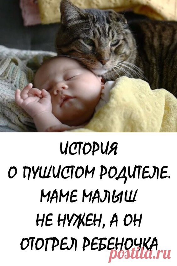 История о пушистом родителе. Маме малыш был не нужен, а он отогрел ребеночка #история #животные #интересно
