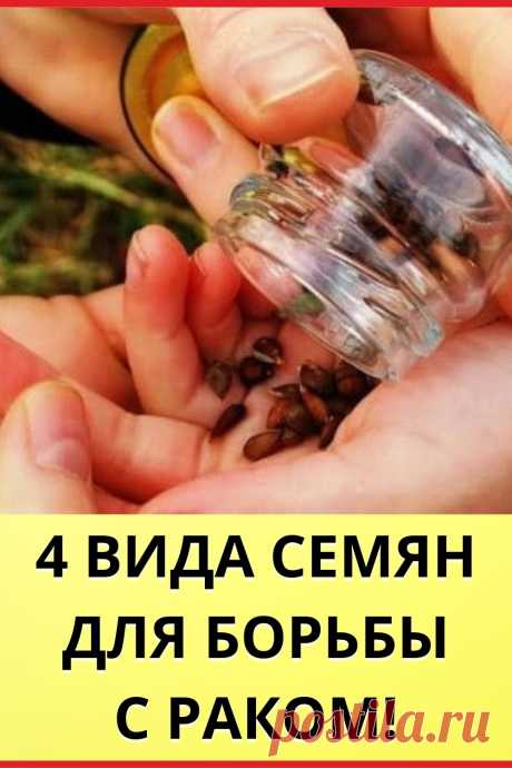 4 вида семян для борьбы с раком!