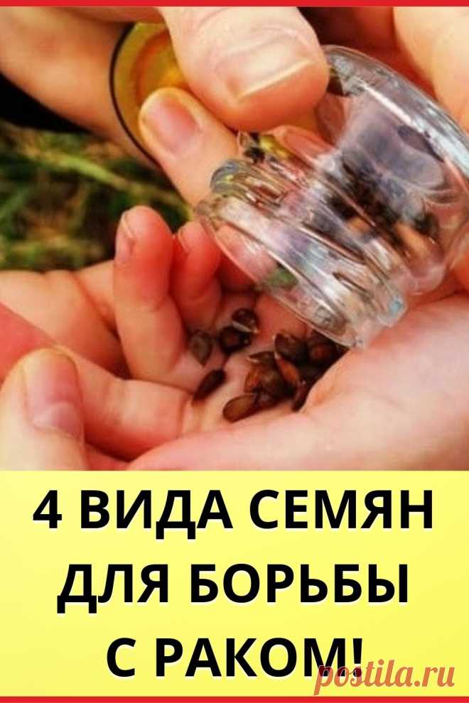 4 вида семян для борьбы с раком!