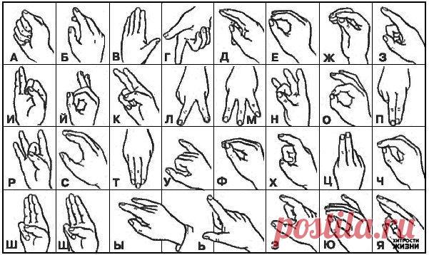 Русский алфавит на языке жестов | Хитрости Жизни