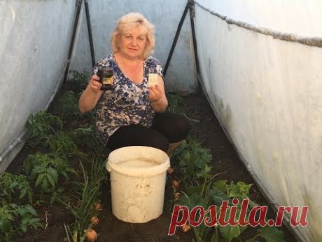 СТОП - УДОБРЯТЬ !!! Удобряй правильно !!! Дрожжи.