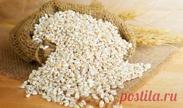 Польза перловки. Как сварить перловку вкусно

Если при упоминании перловки, вы воротите нос или даже хуже того, восклицаете: я этой шрапнели наелся в армии, то вам точно сюда: сесть и внимательно прочитать статью. Поверьте, вы не пожалеете!

- Итак, сорока-ворона кашку варила и рассказала...

Какова #польза перловки и как сварить перловку вкусно на завтрак и на обед, и на — хэ-хэ — десерт и гарнир