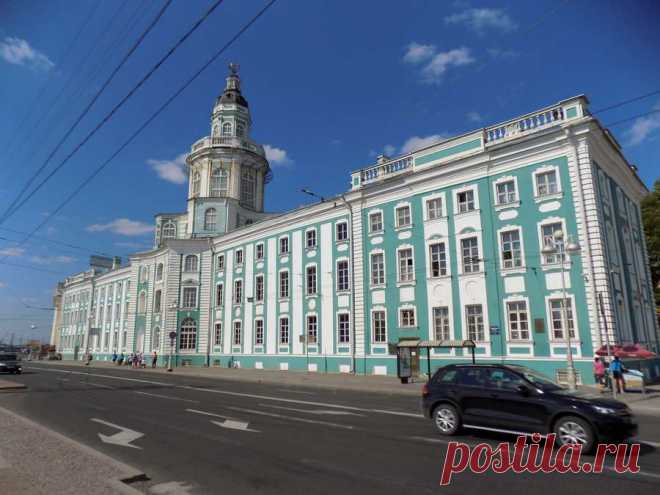 Кунсткамера - кабинет редкостей в Санкт-Петербурге | Зеленая Лампа