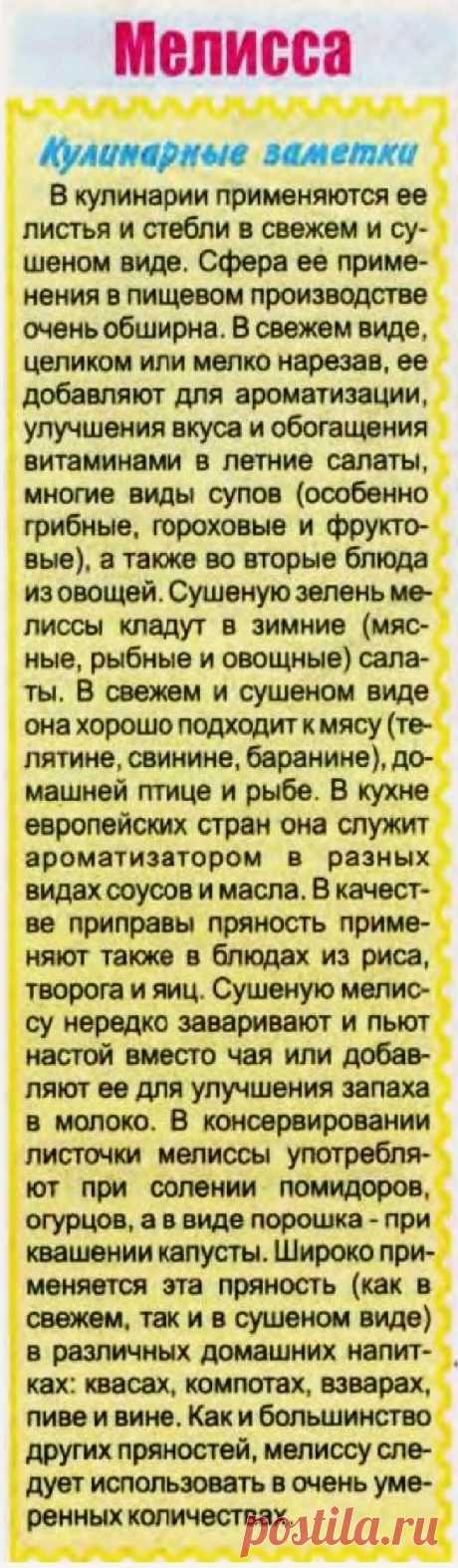 Мелисса в кулинарии