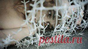 Петр Павленский: Ненависть к своему телу: Сказать, что Петр Павленский  невменяемый — неверно, так как с головой у него все в порядке. И все же поступки, совершаемые им выходят из ряда обычных, заставляют с опаской оглянуться, на