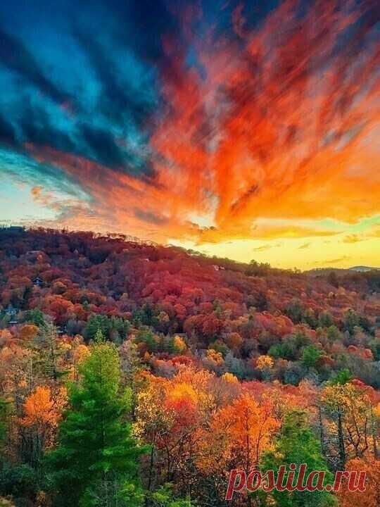 i (540×720)