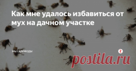 Как мне удалось избавиться от мух на дачном участке Для меня мухи никогда не были серьезной проблемой. Участок ухоженный, помоек нет, компостная яма находится далеко от жилых построек. Им просто неоткуда было взяться. До той поры, пока не наступило лето 2009 года, когда сосед стал массово удобрять почву. Тут то они и полетели. Причем не только к нему, но и ко всем, кто находится поблизости.
Эти неприятные насекомые заполонили дом, времянку и всю зо