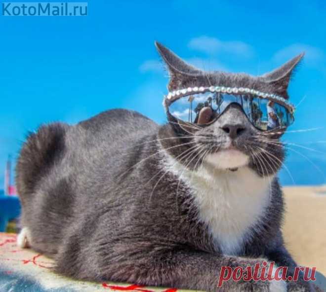 Ищите меня на море!