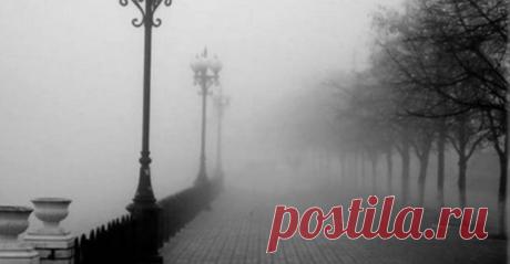 «По улице моей который год...»: бередящее душу стихотворение о быстротечности времени