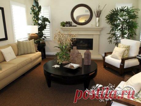 ГДЕ КАКОМУ РАСТЕНИЮ В ДОМЕ МЕСТО? | Женский журнал