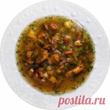 Суп с лисичками (Поліўка зь лісічкамі)