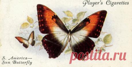 Декупаж в Кургане