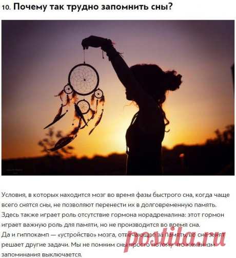 10 ответов на странные вопросы, которыми хоть раз задавался каждый