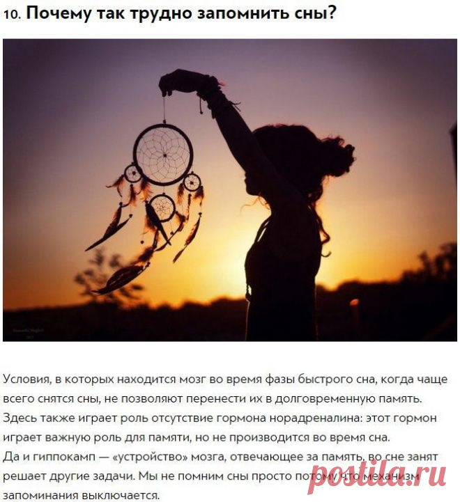 10 ответов на странные вопросы, которыми хоть раз задавался каждый