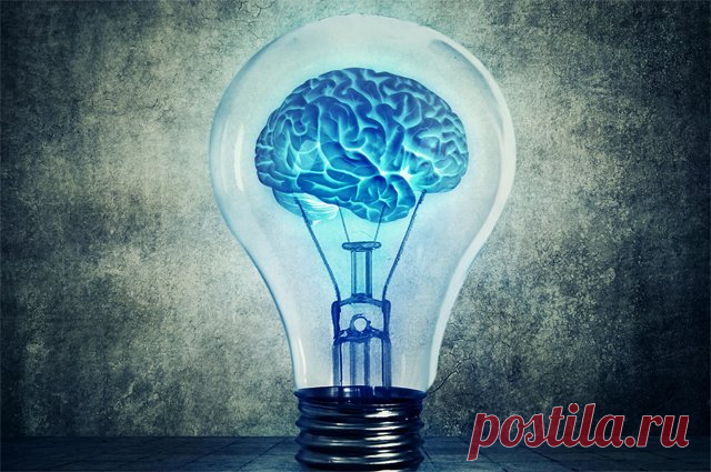 В каком возрасте СНИЖАЕТСЯ ЭФФЕКТИВНОСТЬ работы мозга у людей? Ученые определили возраст ухудшения эффективности работы мозга у людей.