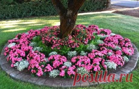 Школа цветоводства 🌸 Наш дом всегда в цветах 🌸