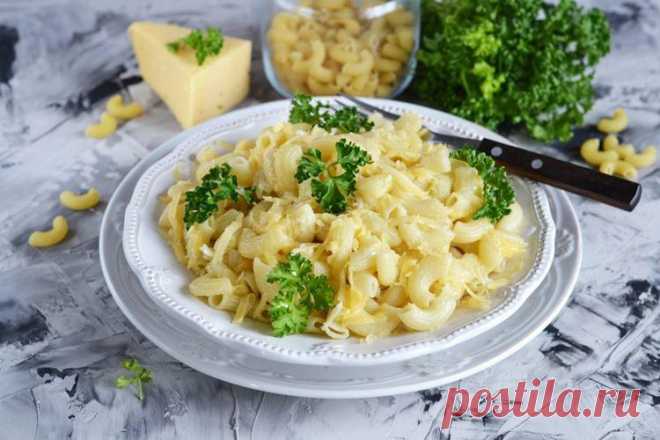 Макароны с сыром - 20 простых и вкусных рецептов.