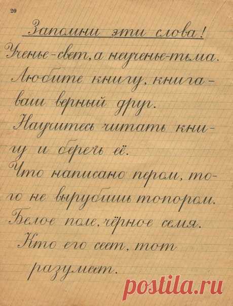 Искусство каллиграфии: Что скрывается за красивыми буквами, и стоит ли учить детей писать красиво?