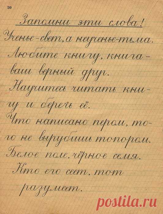 Искусство каллиграфии: Что скрывается за красивыми буквами, и стоит ли учить детей писать красиво?