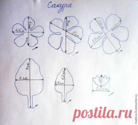 (1232) Pinterest