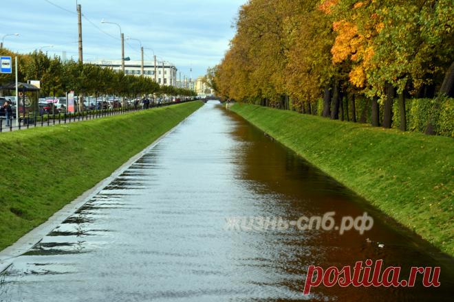 Золотая осень в Летнем саду