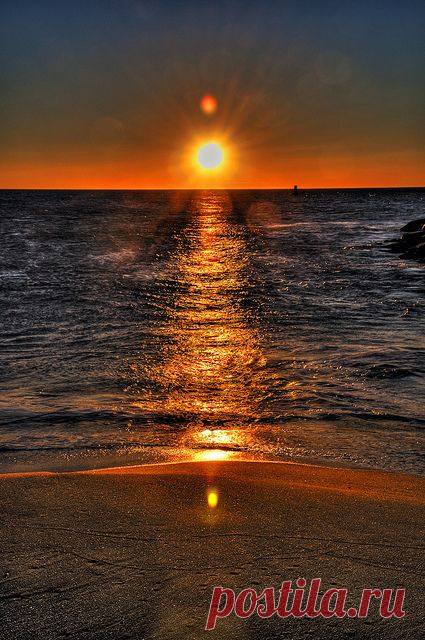 Экология: береги природу! | Животные и растения