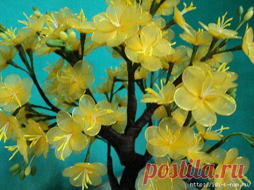 цветы из капрона