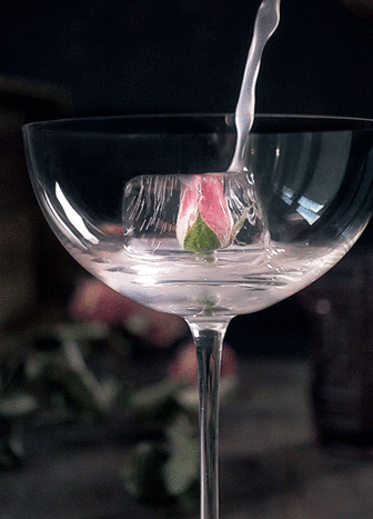 more cinemagraphs on our instagram