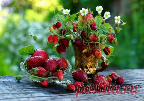 Мой Мир@Mail.Ru
