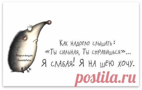 ПРИКОЛЬНЫЕ ФРАЗОЧКИ В КАРТИНКАХ