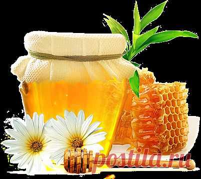 Чудо — мазь на основе пчелиного воска..