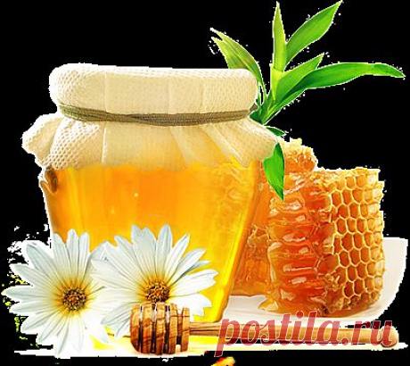 Чудо — мазь на основе пчелиного воска..