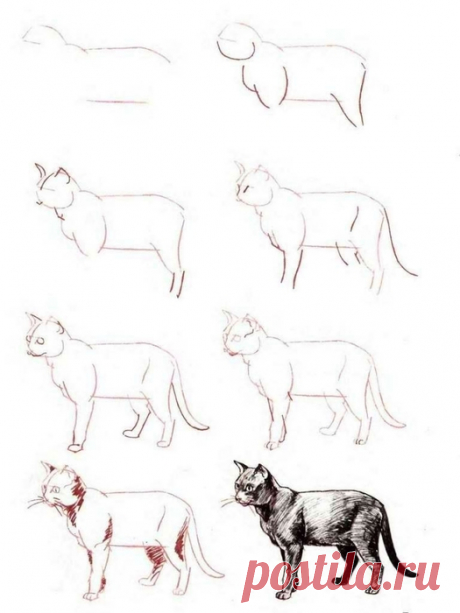 РИСУЕМ КОШЕК, КОТОВ И КОТЯТ ПОЭТАПНО