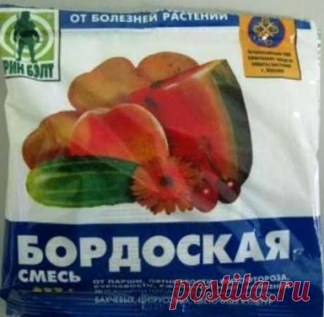 Как правильно приготовить и пользоваться бордосской жидкостью
