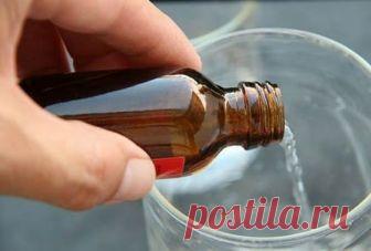 Подкормка нашатырным спиртом: какие культуры удобрять и как